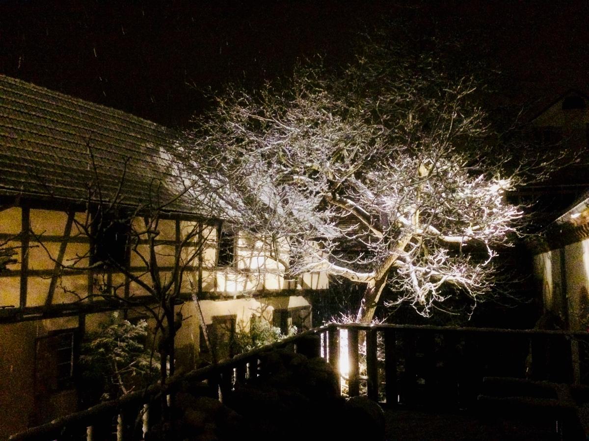 Bischwiller L'Ours B&B 외부 사진