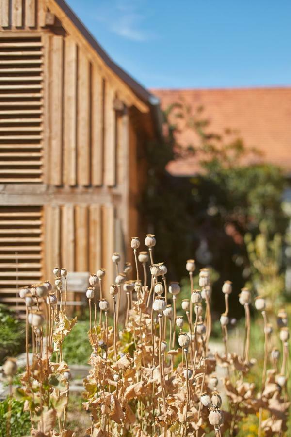 Bischwiller L'Ours B&B 외부 사진
